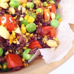 13225110_1151392908238144_896471349_o