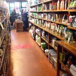 13441746_1168470249863743_113960727_o