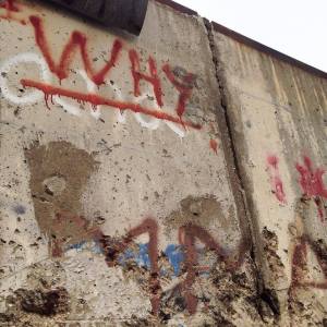 13709531_1192490784128356_2063682619_o