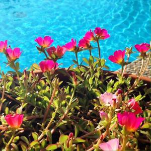 14012710_1213183285392439_1023298818_o