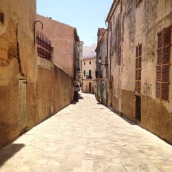 14037822_1213183362059098_118626460_o