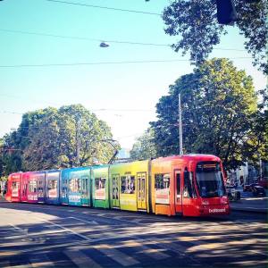 14274268_1240195859357848_2083288562_o