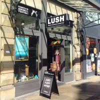 14285474_1240207222690045_1493442816_o