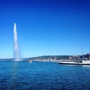 14339354_1240195986024502_1273648201_o