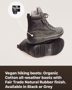 FD33EBD4-5AA6-4665-B5D2-7C2CF61A8DFF